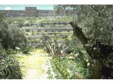 Jerusalem from the East - view of the Golden Gate from the Mount of Olives